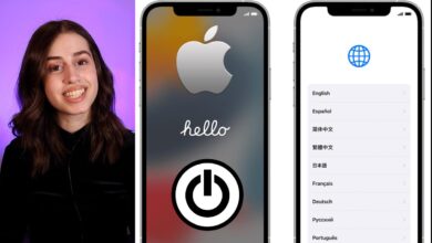 iOS Setup Assistant