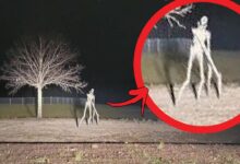 Skinwalker Caught on Camera