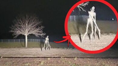 Skinwalker Caught on Camera