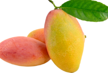 Mango PNG