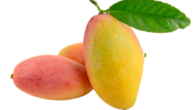 Mango PNG