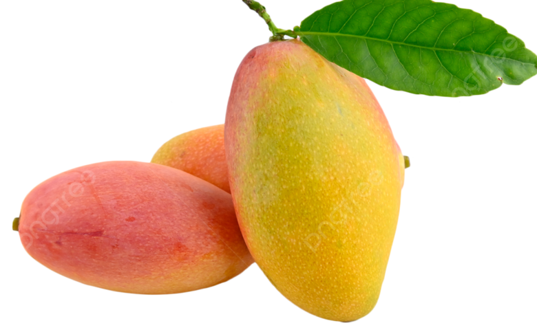 Mango PNG